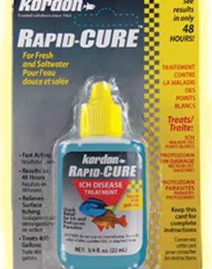Kordon Products Kordon Rapid Cure