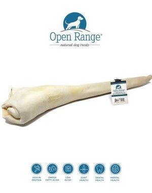 Open Range Open Range Full Length Bull Tail