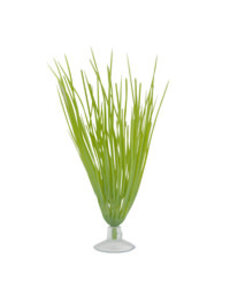 Marina Marina Betta Kit Hairgrass Plant With Suction Cup - 12.7 cm (5in)