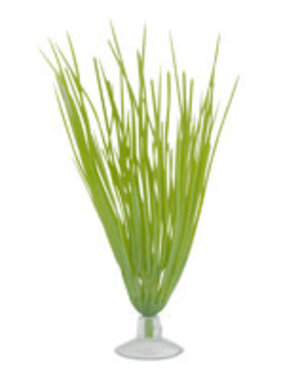 Marina Marina Betta Kit Hairgrass Plant With Suction Cup - 12.7 cm (5in)