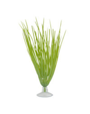 Marina Marina Betta Kit Hairgrass Plant With Suction Cup - 12.7 cm (5in)