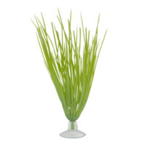 Marina Marina Betta Kit Hairgrass Plant With Suction Cup - 12.7 cm (5in)