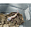 Galaxy x Murphy Patternless Leopard Gecko Gecko