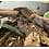 White  Eye Crocodile Skink