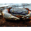 Rainbow Crab