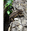 0.1 Gargoyle Gecko (Proven)
