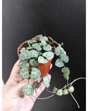  2.5" String of hearts