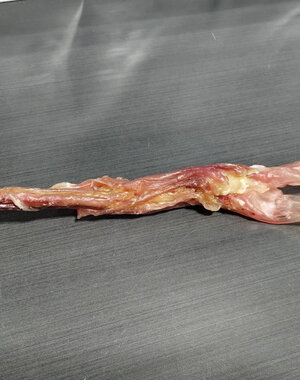 Bullsters Bullsters Beef Tendon 12"