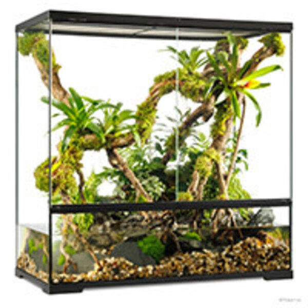 Exo Terra Exo Terra Pro Paludarium Advanced Natural Terrarium - Large-X-Tall - 90 x 45 x 90 cm (36" x 18" x 36")