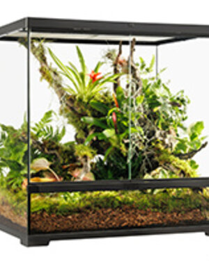 Exo Terra Exo Terra Pro Terrarium Advanced Natural Terrarium - Medium-Tall - 60 x 45 x 60 cm (24" x 18" x 24")
