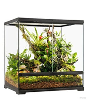 Exo Terra Exo Terra Pro Terrarium Advanced Natural Terrarium - Medium-Tall - 60 x 45 x 60 cm (24" x 18" x 24")