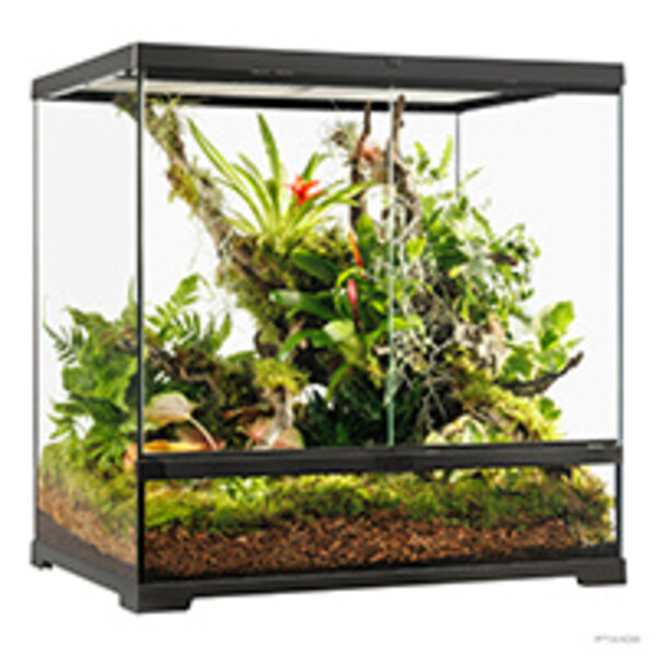 Exo Terra Exo Terra Pro Terrarium Advanced Natural Terrarium - Medium-Tall - 60 x 45 x 60 cm (24" x 18" x 24")