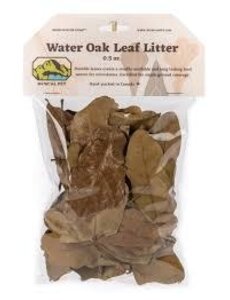 Newcal Pet Water Oak Leaf Litter
