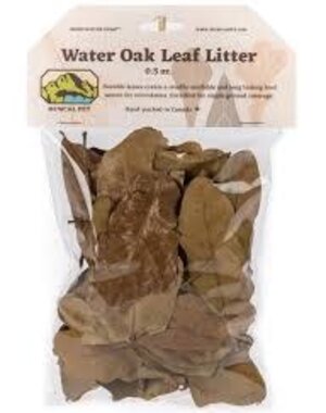 Newcal Pet Water Oak Leaf Litter