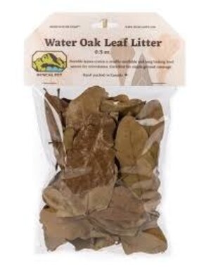 Newcal Pet Water Oak Leaf Litter