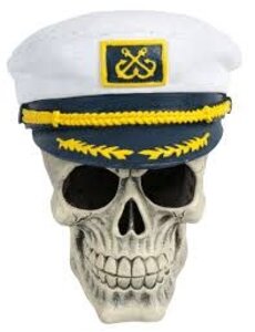 PENN-PLAX INC Penn-Plax  Captain Skull