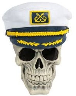 PENN-PLAX INC Penn-Plax  Captain Skull
