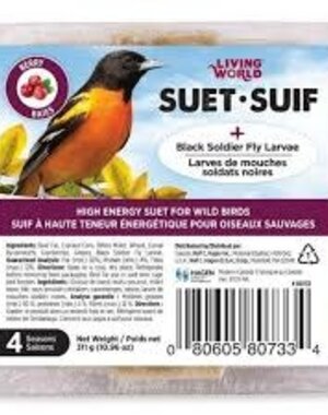 Living World Living World Wild Bird Suet With Berry and  Black Soldier Fly Larvae