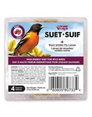 Living World Living World Wild Bird Suet With Berry and  Black Soldier Fly Larvae
