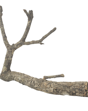 Jurassic Reptile Products Jurassic Cork Branches