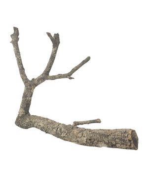 Jurassic Reptile Products Jurassic Cork Branches