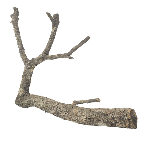 Jurassic Reptile Products Jurassic Cork Branches