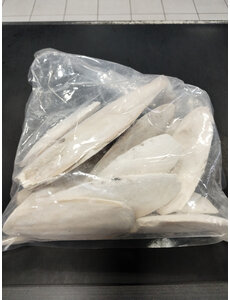 Jurassic Reptile Products Jurassic Reptile Cuttle Bone Pieces