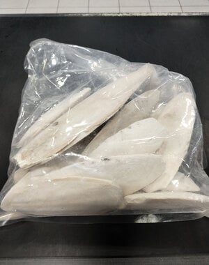 Jurassic Reptile Products Jurassic Reptile Cuttle Bone Pieces