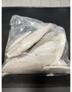 Jurassic Reptile Products Jurassic Reptile Cuttle Bone Pieces