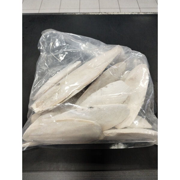 Jurassic Reptile Products Jurassic Reptile Cuttle Bone Pieces