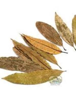 Newcal Pet NewCal Mango Leaves (4-6") (20 pack)