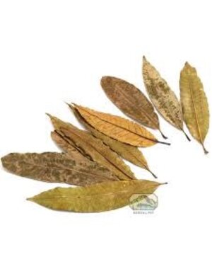 Newcal Pet NewCal Mango Leaves (4-6") (20 pack)