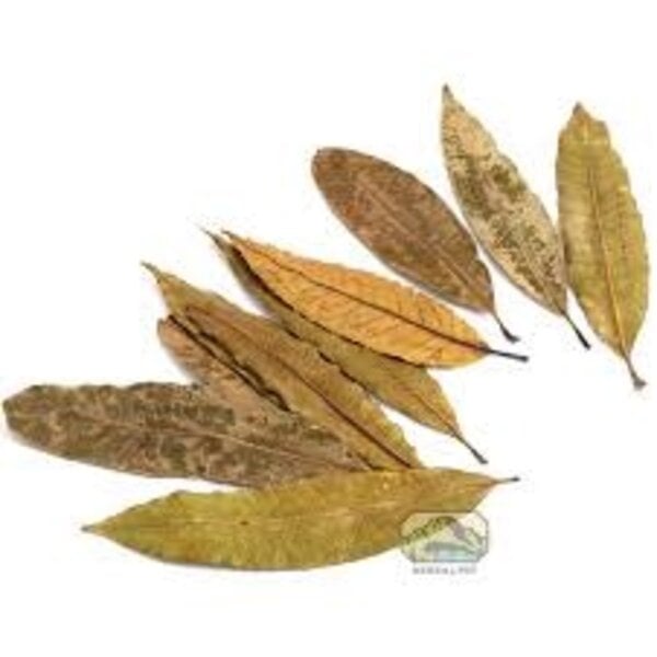 Newcal Pet NewCal Mango Leaves (4-6") (20 pack)