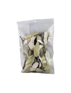  Jurassic Integrifolia Leaves