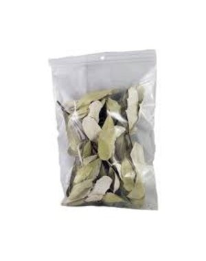  Jurassic Integrifolia Leaves