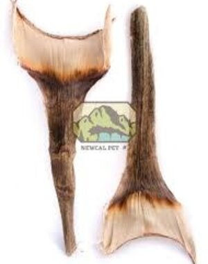 Newcal Pet NewCal Agave Leaf (2 Pack)