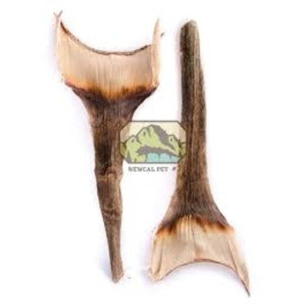 Newcal Pet NewCal Agave Leaf (2 Pack)