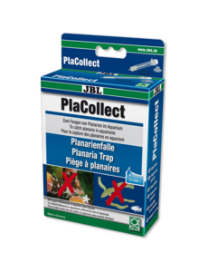 JBL JBL Placollect Planaria Trap