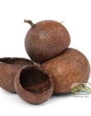 Newcal Pet Newcal Kuchila Pods 5 pack