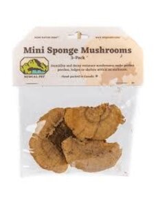 Newcal Pet Newcal Mini Sponge Mushroom 3 pack