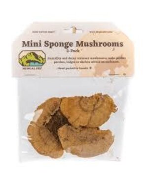 Newcal Pet Newcal Mini Sponge Mushroom 3 pack