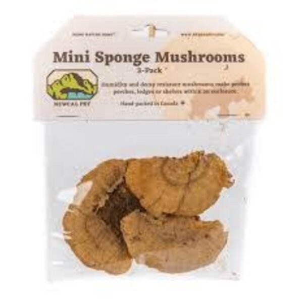 Newcal Pet Newcal Mini Sponge Mushroom 3 pack
