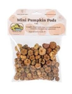 Newcal Pet Newcal Mini Pumpkin Pods 1oz