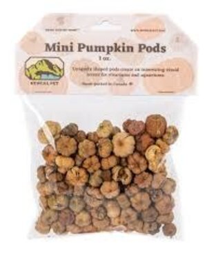 Newcal Pet Newcal Mini Pumpkin Pods 1oz