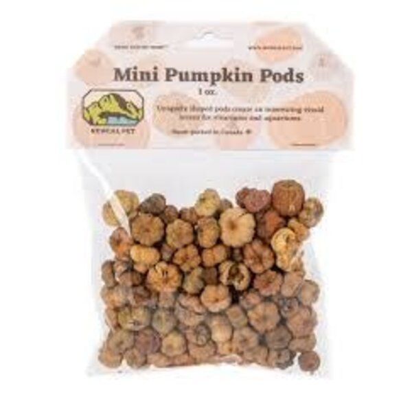Newcal Pet Newcal Mini Pumpkin Pods 1oz