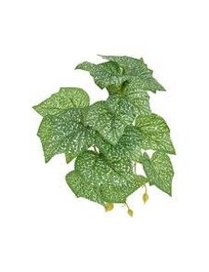 Komodo Products Komodo standing Spotted Pothos 5"