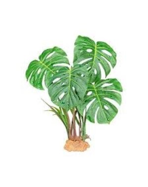 Komodo Products Komodo standing Monstera 10"