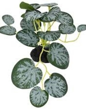 Komodo Products Komodo standing String of hearts 3.5"