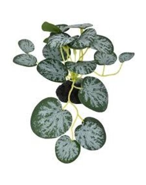 Komodo Products Komodo standing String of hearts 3.5"