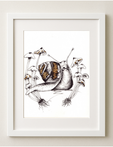 Leaky Inkwell Snail Art Print